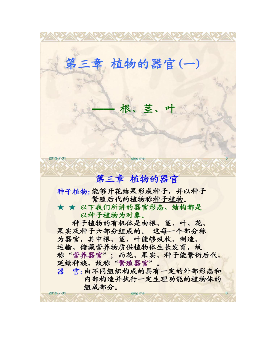 【图文】药用植物学与生药学 第三章 植物的器官(一)根、茎、叶_第3页