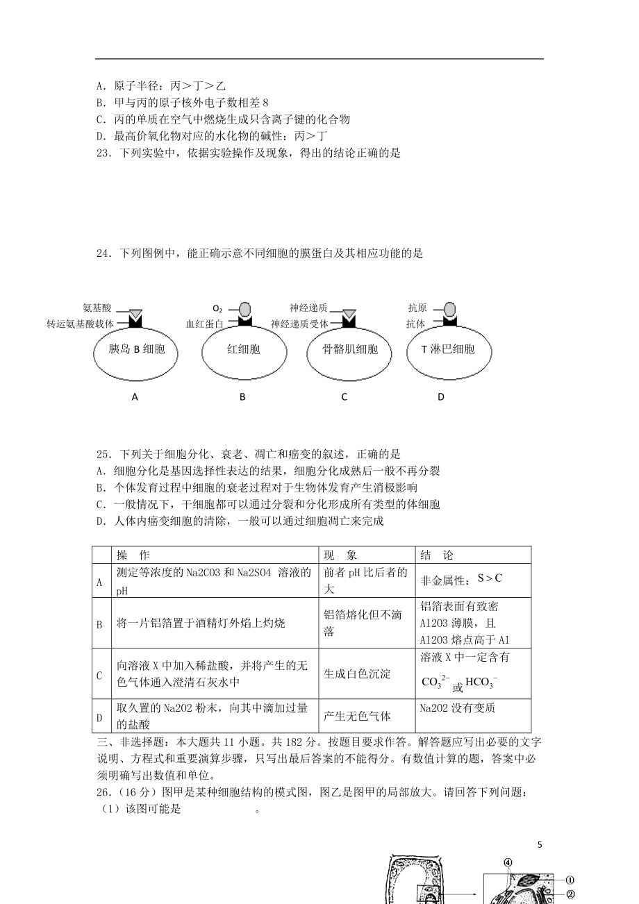 廣東省陽江市陽東縣陽東一中、廣雅中學(xué)2015屆高三理綜第一次聯(lián)考試題_第5頁