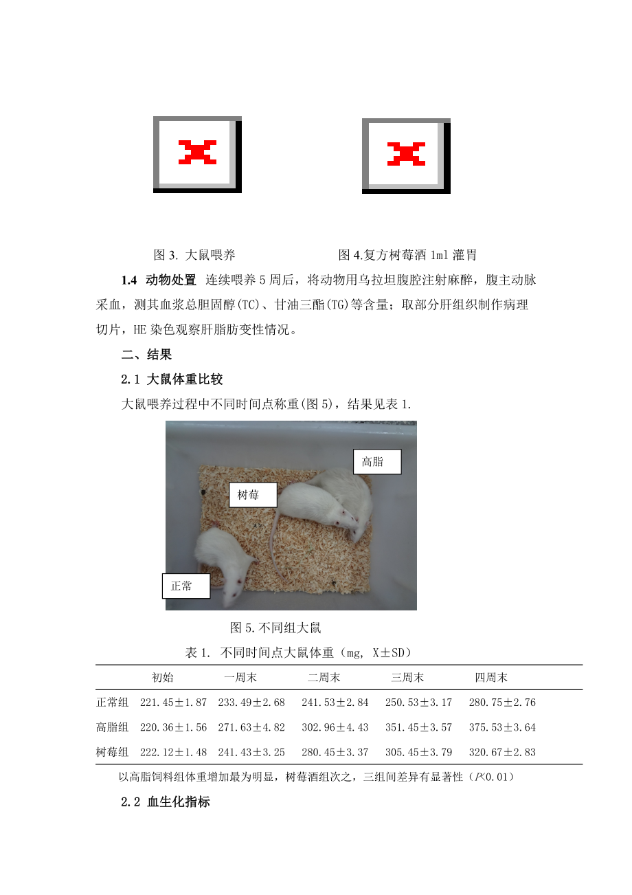 復方樹莓酒對高脂飲食喂養(yǎng)的WISTER大鼠肝脂肪變性保護作用的初步研究_第3頁
