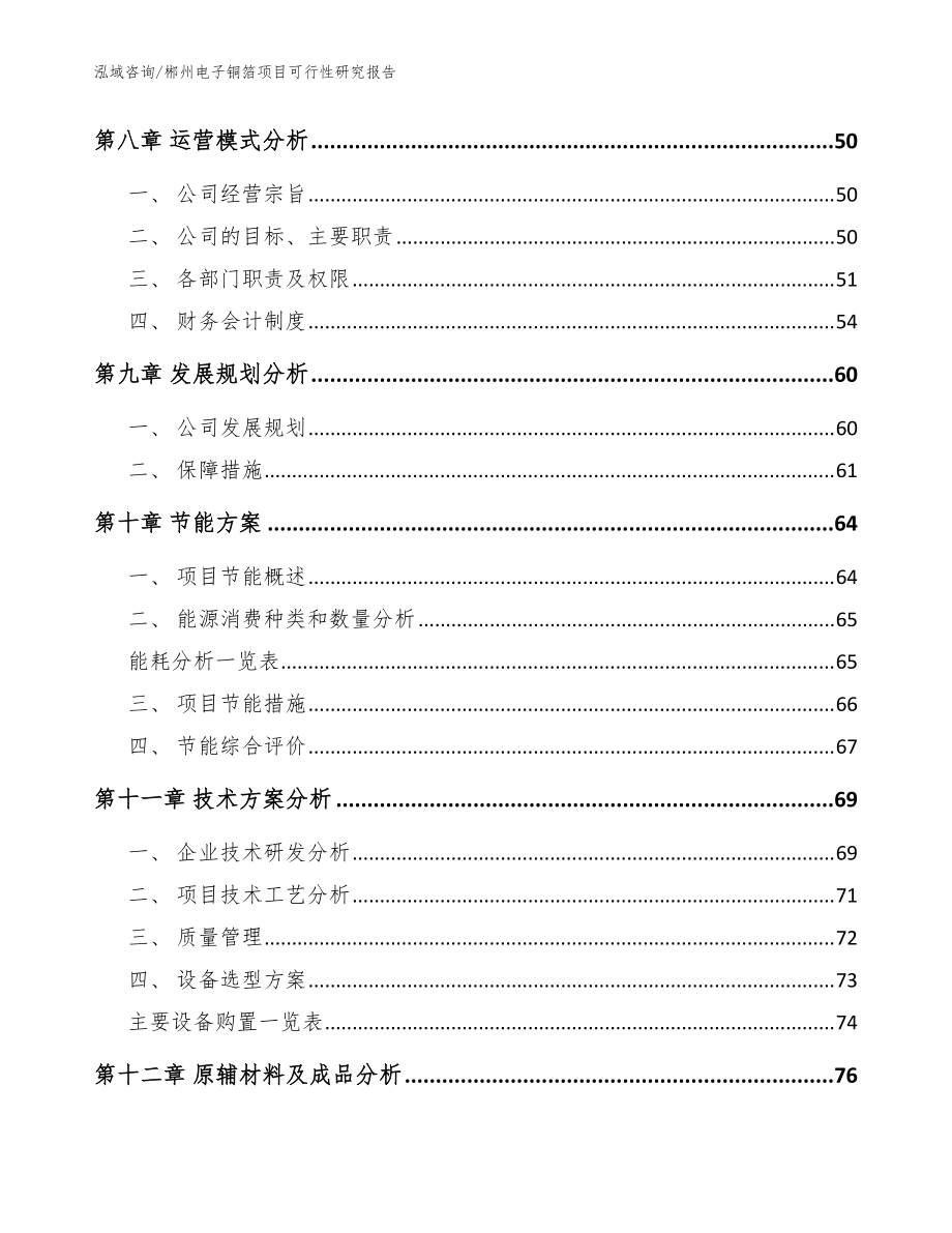 郴州電子銅箔項目可行性研究報告范文_第4頁
