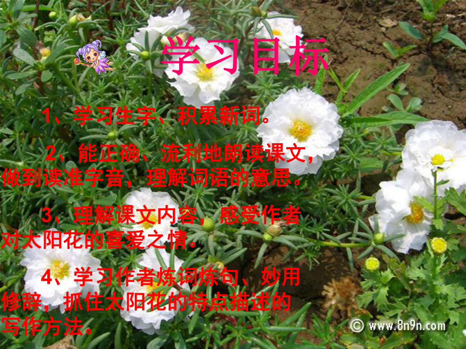 鄂教版六年級上冊《種一片太陽花_》PPT課件_第4頁