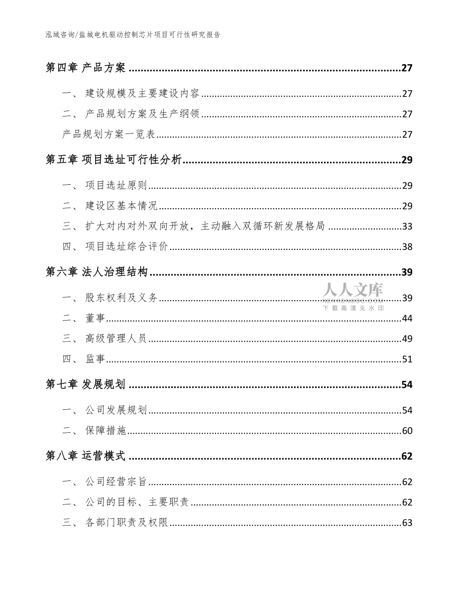 盐城电机驱动控制芯片项目可行性研究报告(模板)_第2页