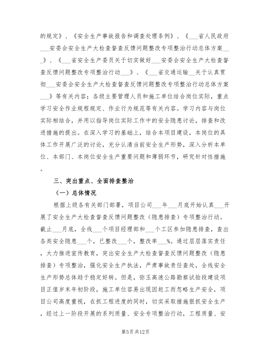 2022年安全生产专项治理检查工作总结_第5页