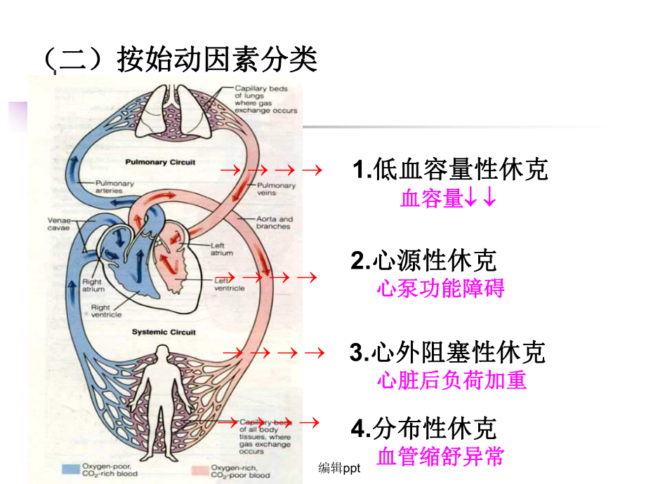 休克病人的护理_第5页