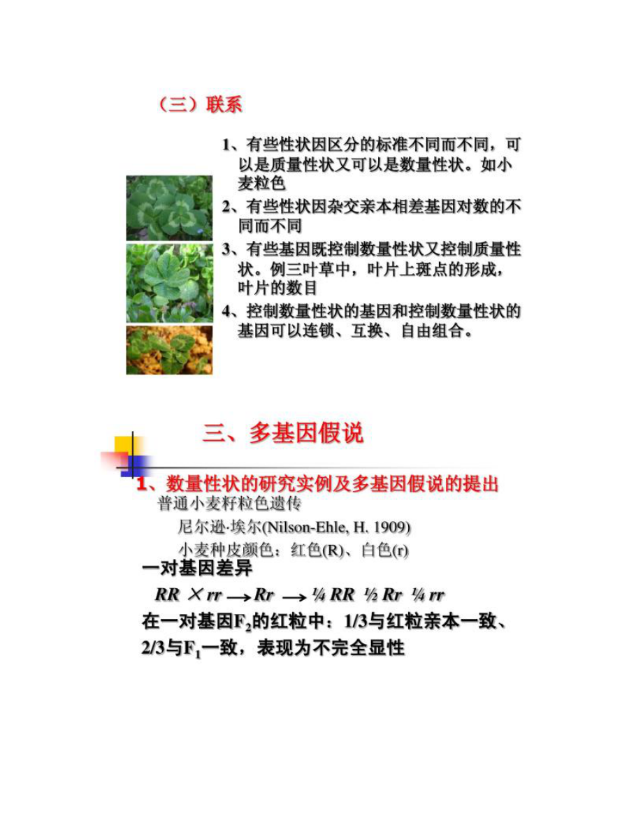 【圖文】第四章 數量性狀遺傳_第5頁
