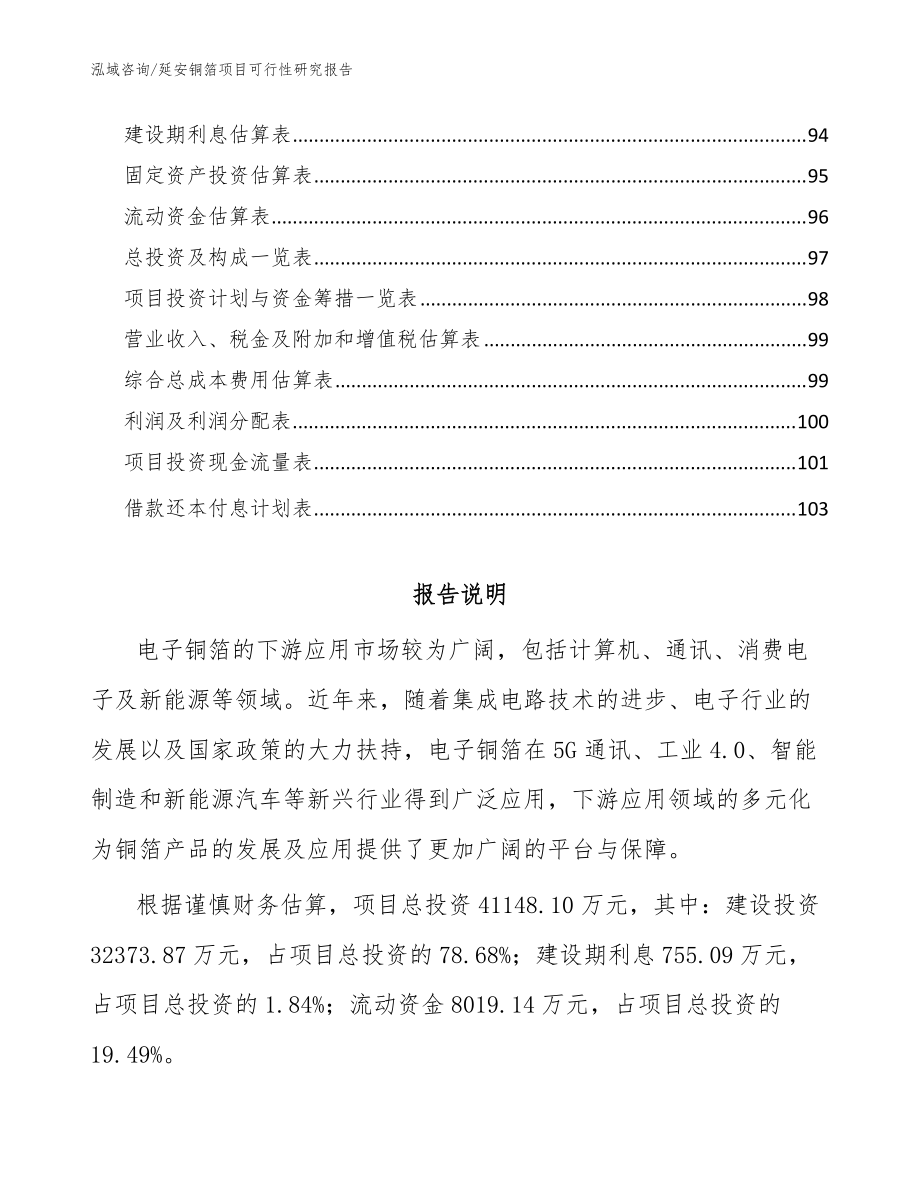 延安銅箔項(xiàng)目可行性研究報(bào)告(范文)_第5頁