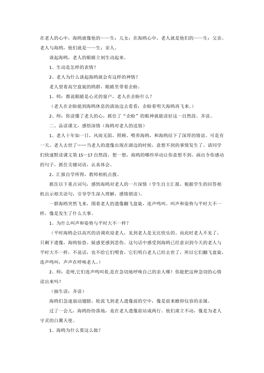 老人与海鸥 (2)_第5页