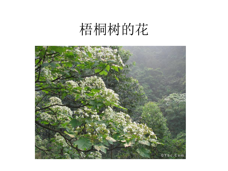 1我看到了什么_第4页