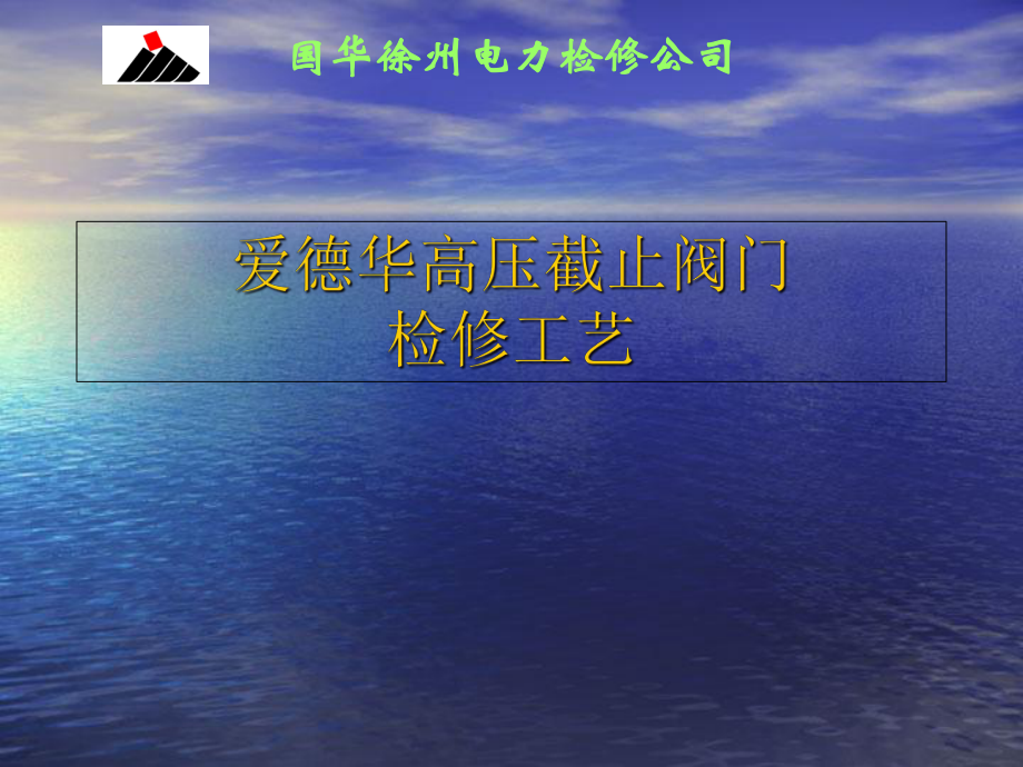 爱德华阀门检修工艺 (2) 2_第1页