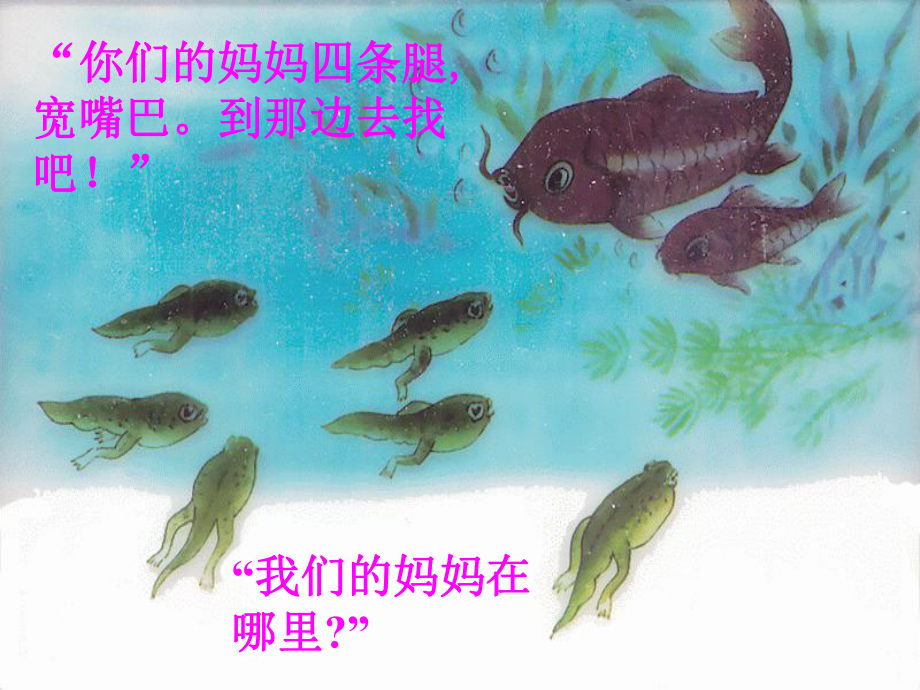 小蝌蚪找媽媽 (2)_第4頁(yè)