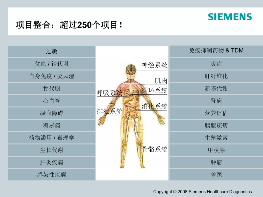 西门子免疫系统讲课稿_第3页