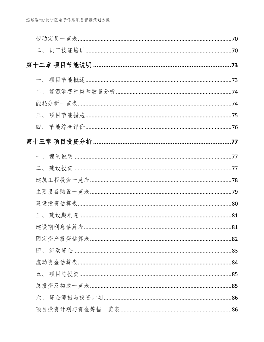 長寧區(qū)電子信息項(xiàng)目營銷策劃方案(參考模板)_第4頁