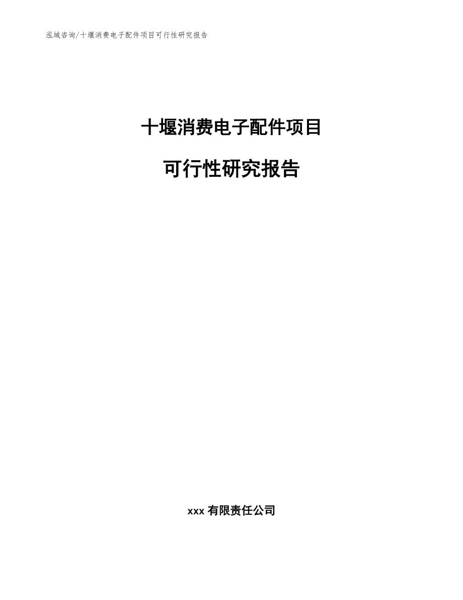 十堰消费电子配件项目可行性研究报告_范文参考_第1页