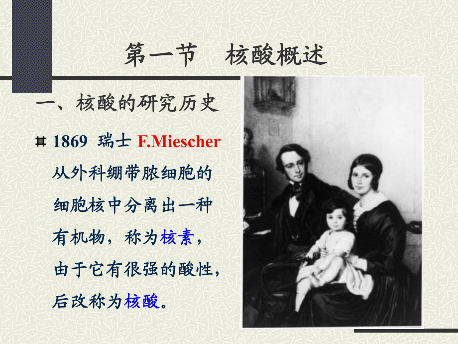 第05章:核酸化学_第3页