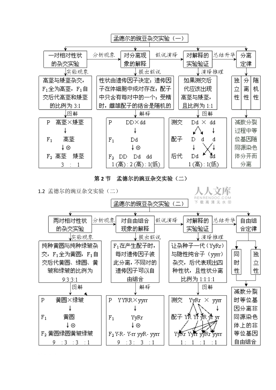 生物必修2概念图_第2页