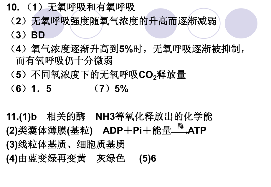高三复习光合作用_第2页