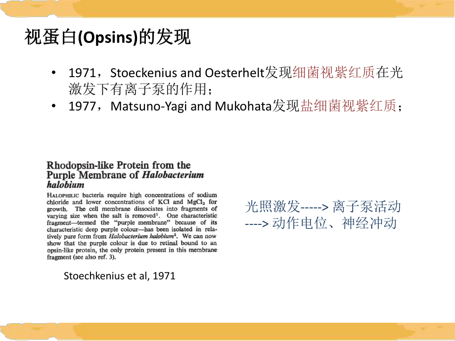 Optogenetics光基因學fss_第5頁