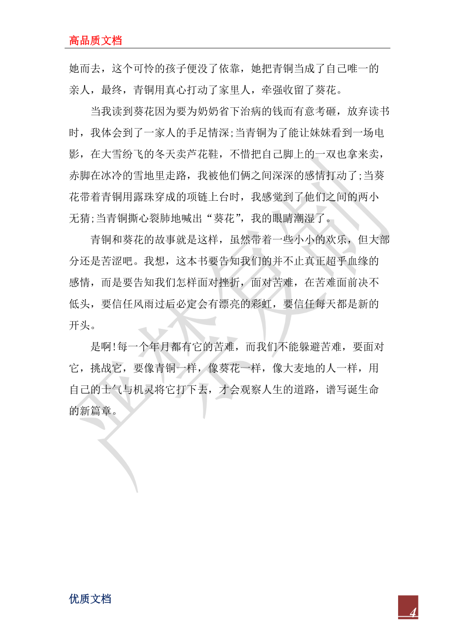 2022年關(guān)于青銅葵花的讀后感_第4頁
