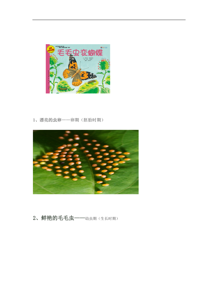 蝴蝶演变过程_第1页