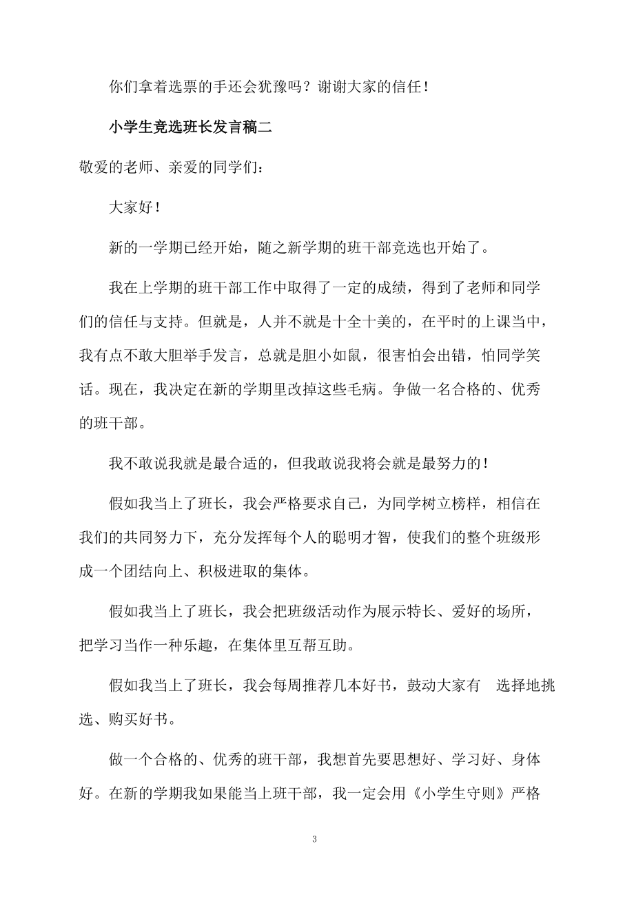 小学生竞选班长发言稿怎么写_第3页
