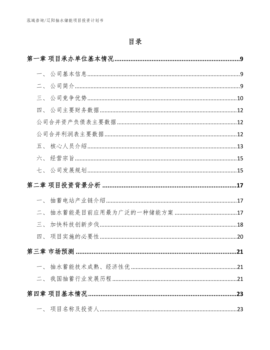 遼陽抽水儲(chǔ)能項(xiàng)目投資計(jì)劃書(模板范文)_第1頁