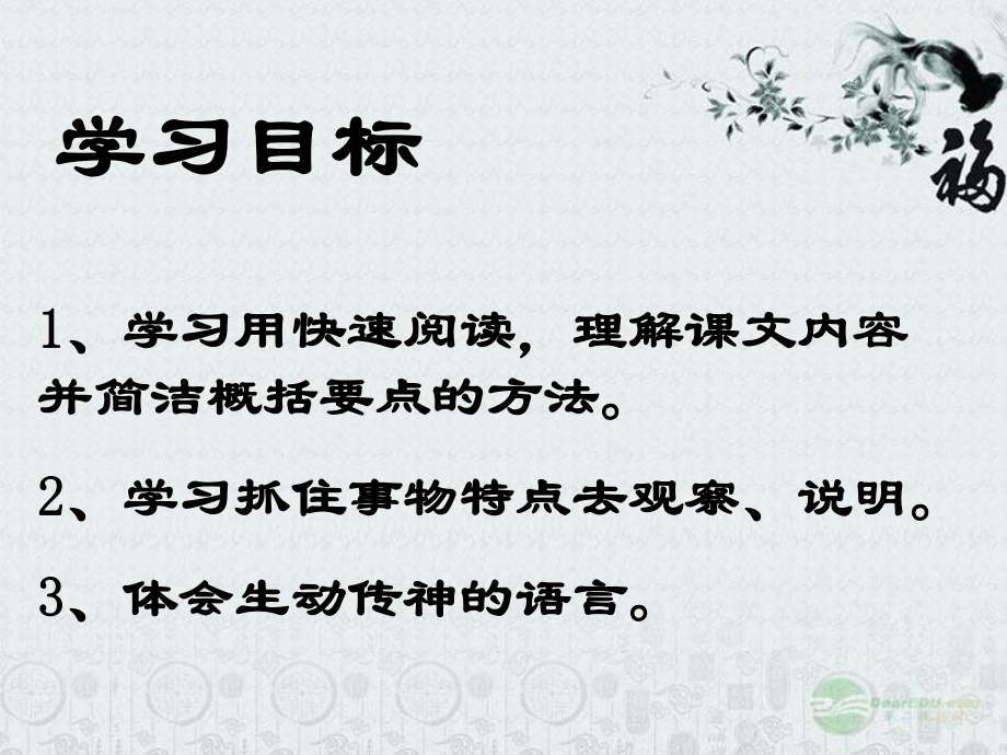 《綠色蟈蟈》公開課課件(57頁)_第5頁