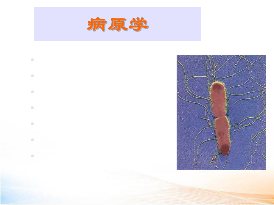 伤寒流脑 课件_第4页