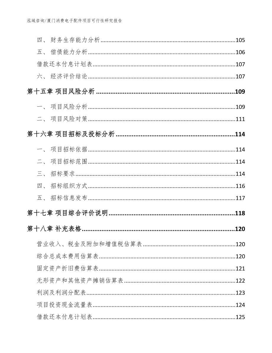 厦门消费电子配件项目可行性研究报告【模板范文】_第5页
