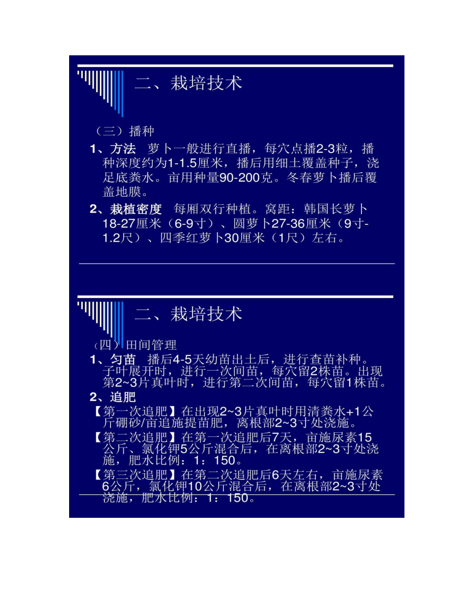 【图文】萝卜优质丰产栽培技术_第5页