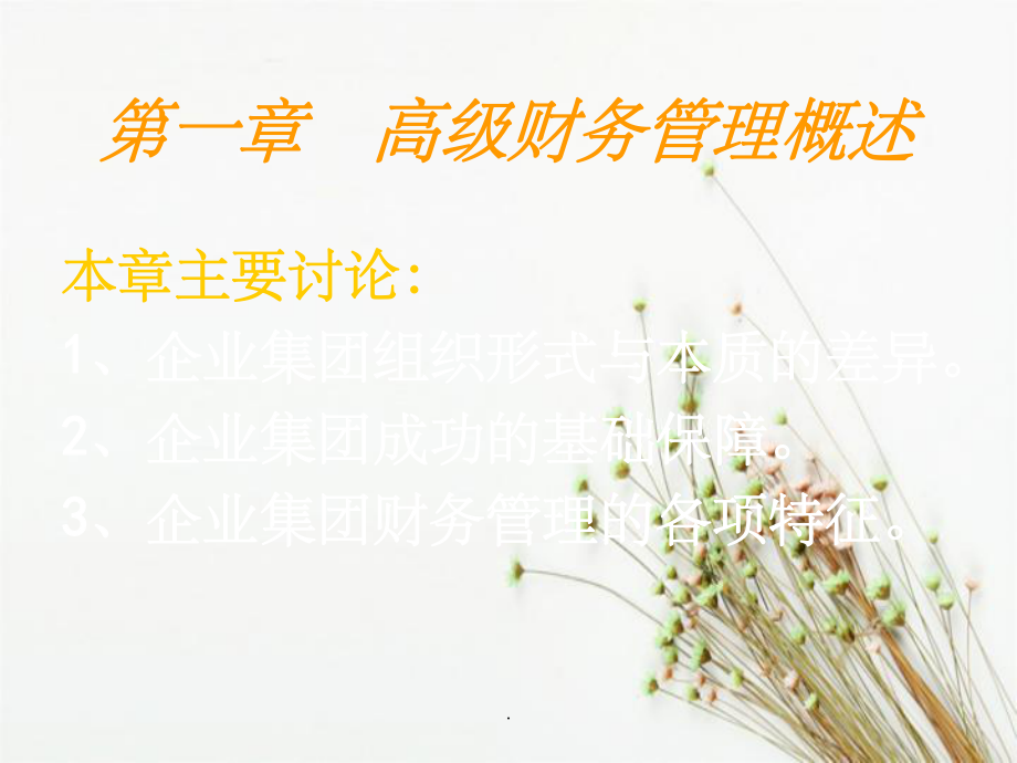 高级财务管理_第4页
