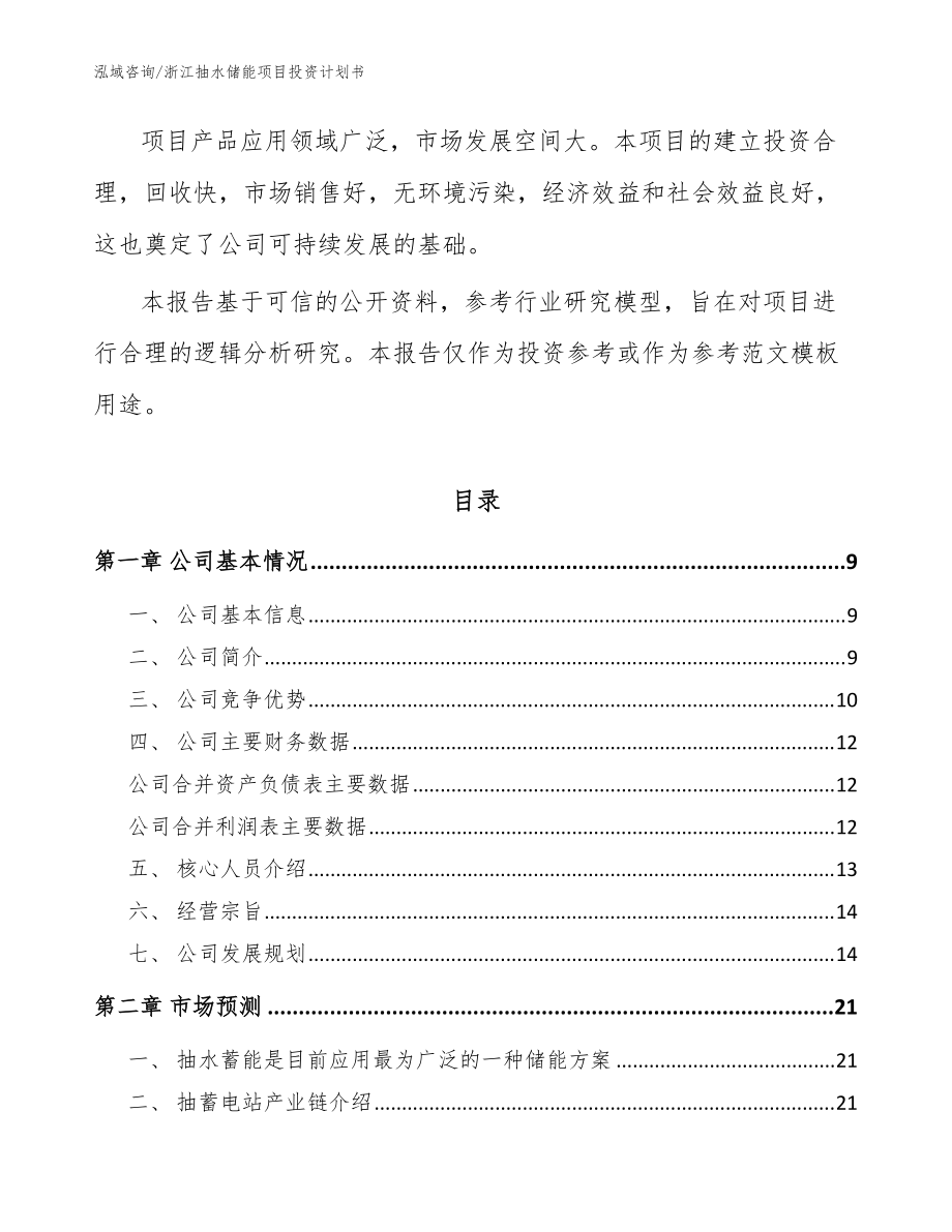 浙江抽水儲能項目投資計劃書_模板_第3頁