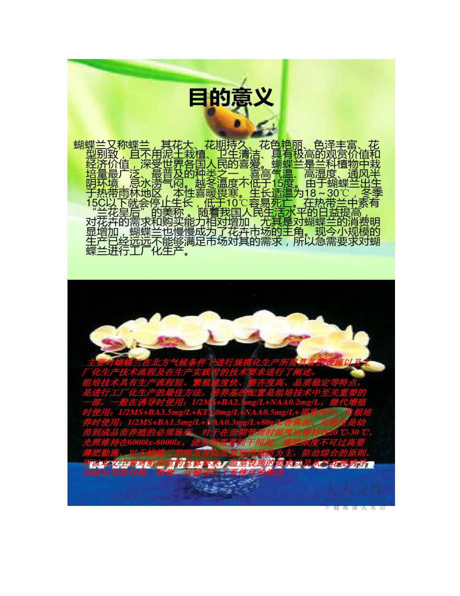 【圖文】蝴蝶蘭的栽培技術(shù)_第2頁(yè)