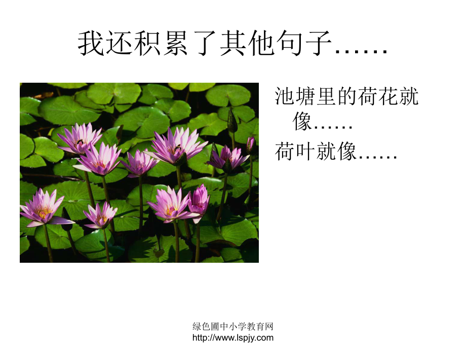 人教版小學(xué)三年級(jí)語文下冊(cè)《語文園地二課件》_第4頁
