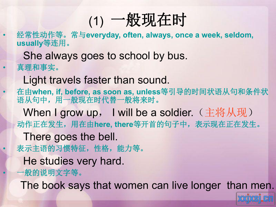 初中英语复习主要时态PPT课件_第2页