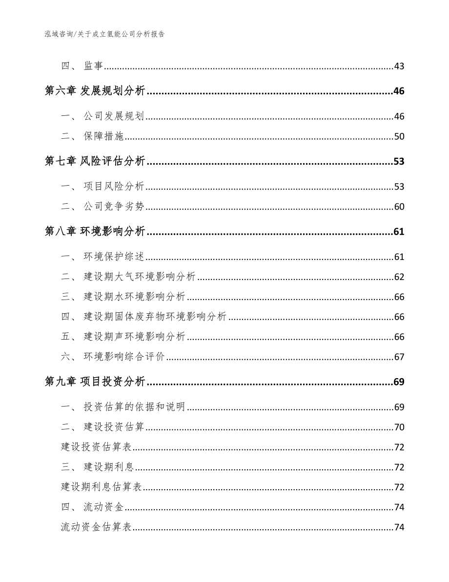 关于成立氢能公司分析报告_模板_第5页