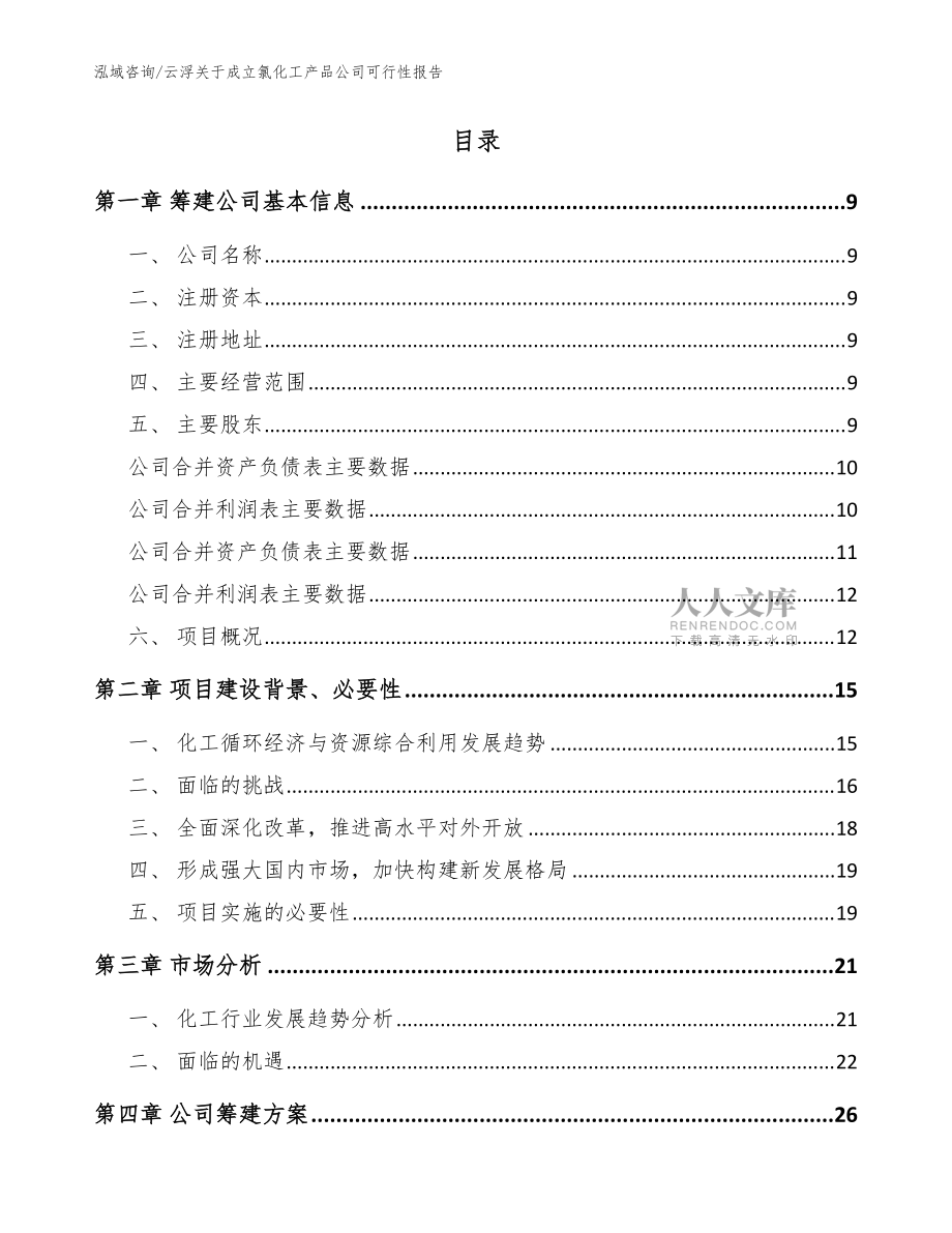 云浮关于成立氯化工产品公司可行性报告模板_第2页