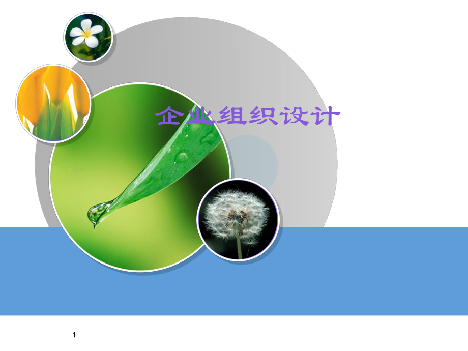 企业组织设计及案例分析_第1页