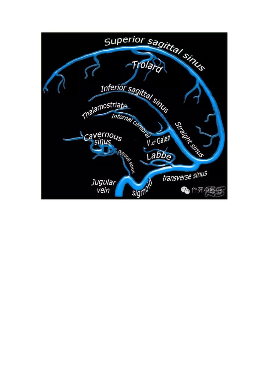 大脑静脉解剖基础及影像_第2页
