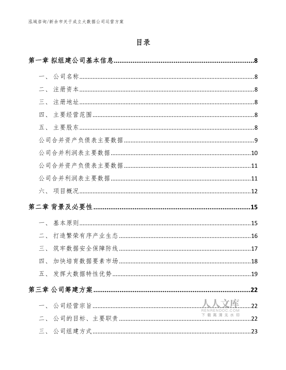 新余市关于成立大数据公司运营方案【模板参考】_第2页