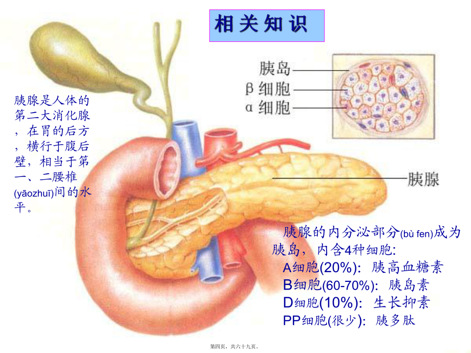 醫(yī)學(xué)專題—第三十一章-降血糖藥分析課件_第4頁