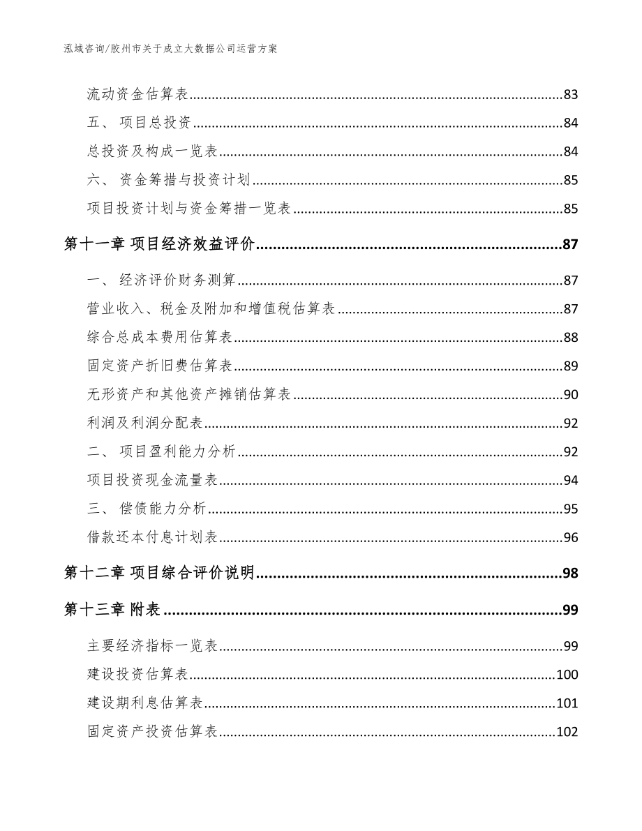 胶州市关于成立大数据公司运营方案_模板范文_第5页