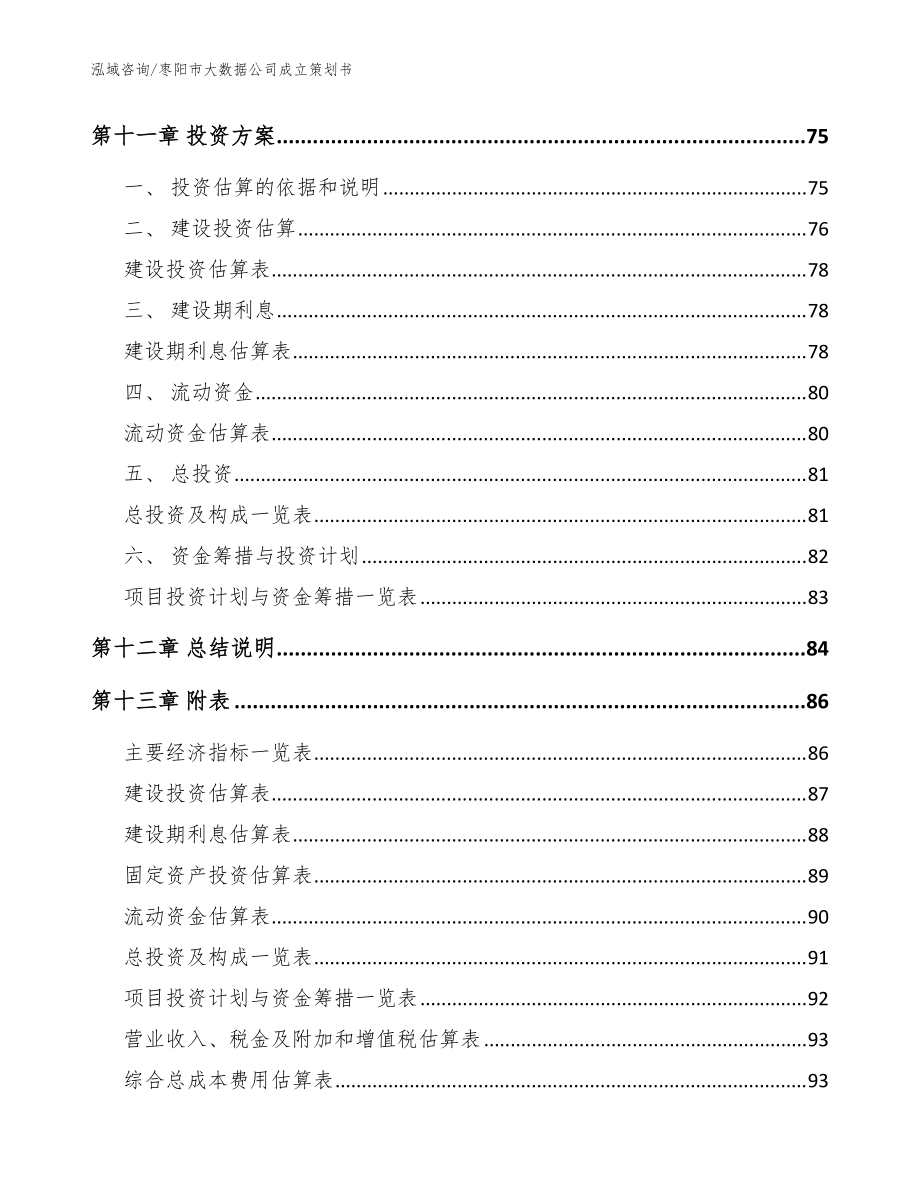 枣阳市大数据公司成立策划书_范文_第5页