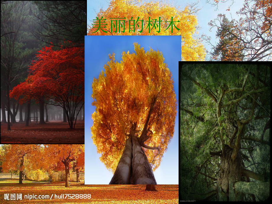 綠色環(huán)保主題_第4頁(yè)