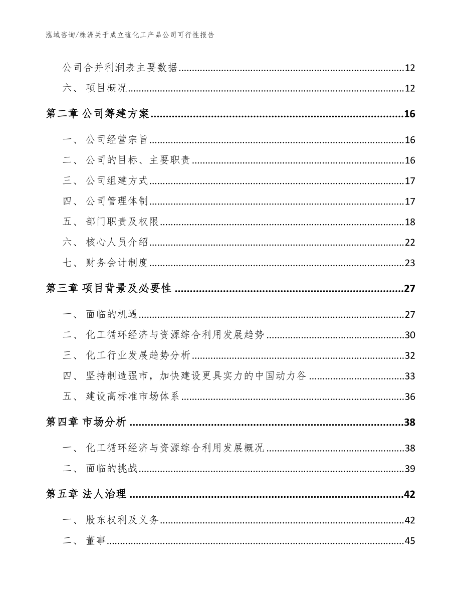 株洲关于成立硫化工产品公司可行性报告【范文模板】_第4页