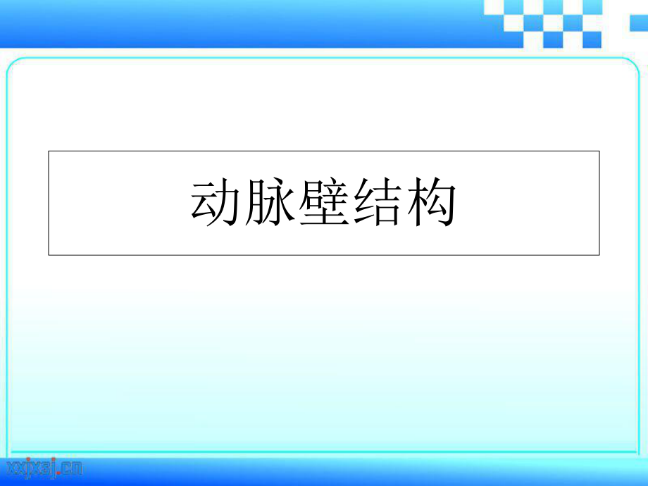 主动脉壁结构_第1页