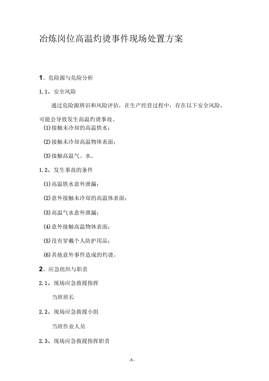 生产安全事故现场处置方案_第5页