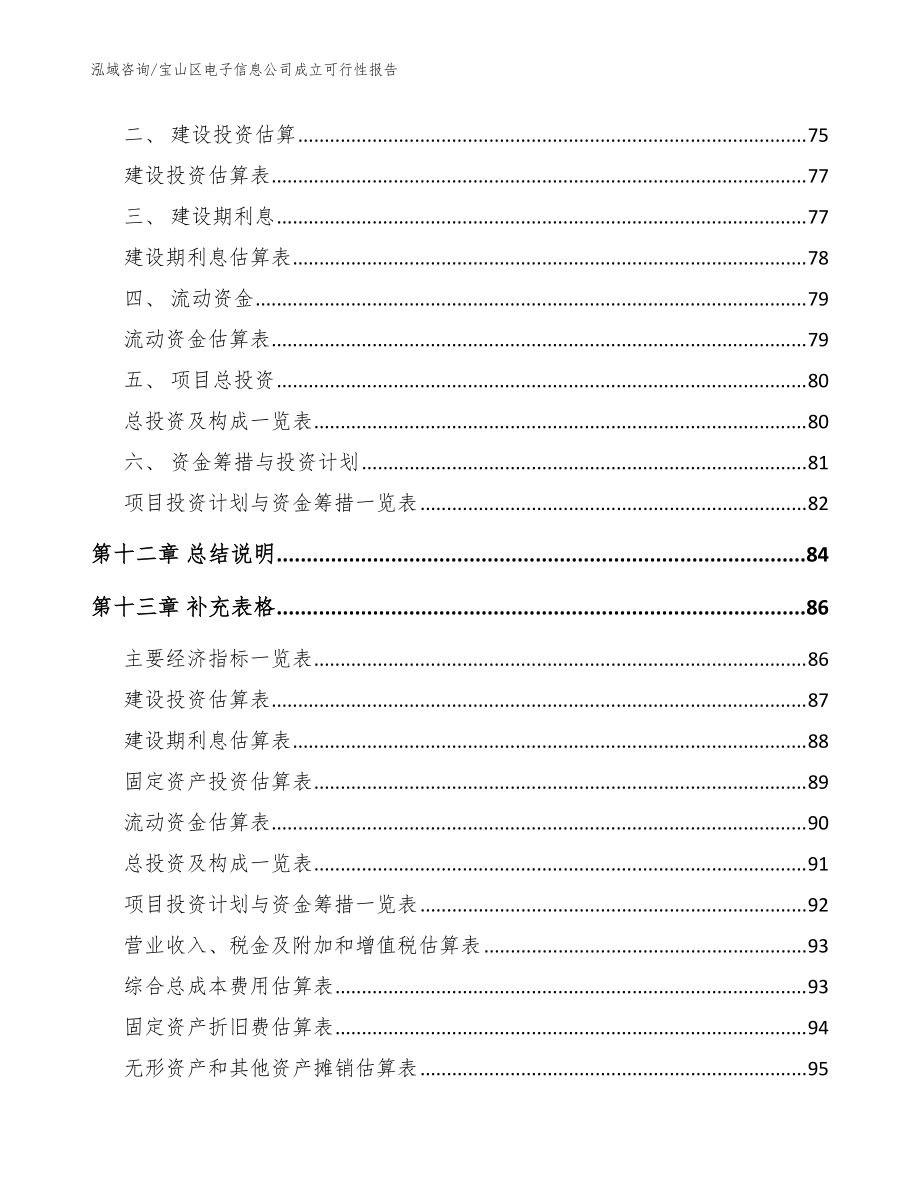 宝山区电子信息公司成立可行性报告(模板)_第5页