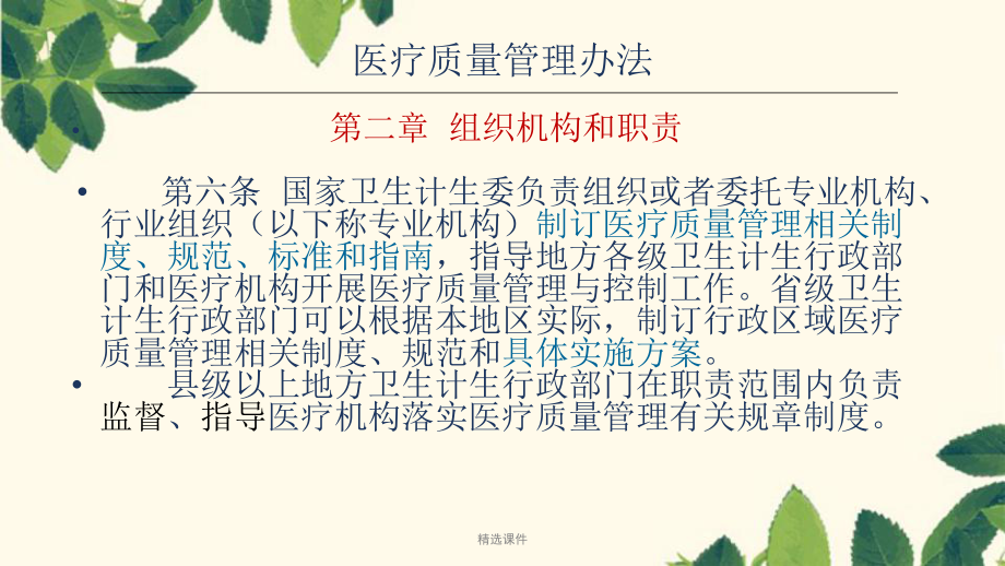 《医疗质量管理办法》_第5页