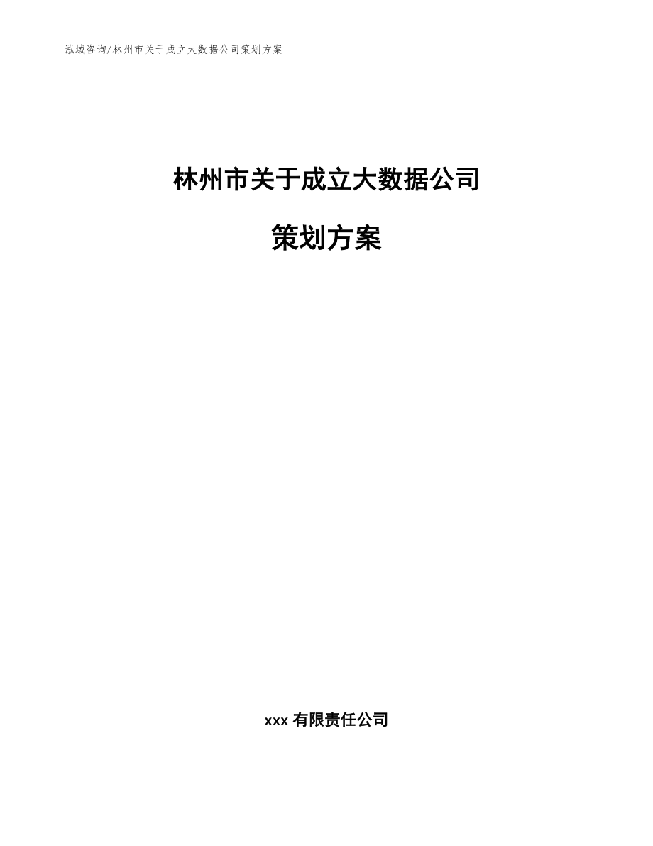 林州市关于成立大数据公司策划方案参考范文_第1页