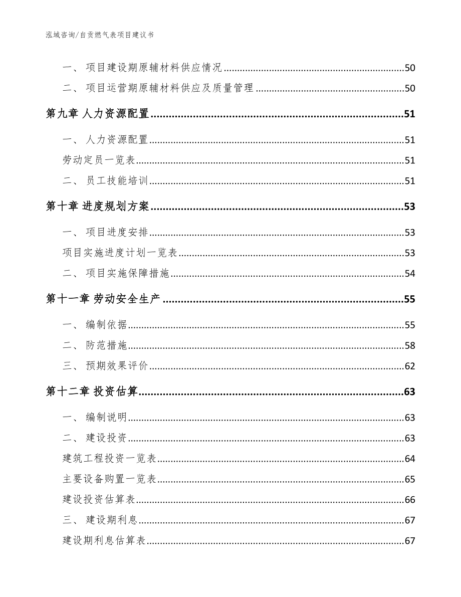 自贡燃气表项目建议书(模板)_第4页